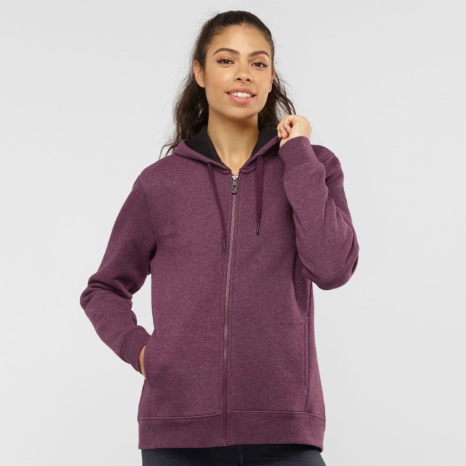 Dámské Mezivrstvy Salomon ESSENTIAL WARM Jacket Hoodie Vínové | CZ-84930OW