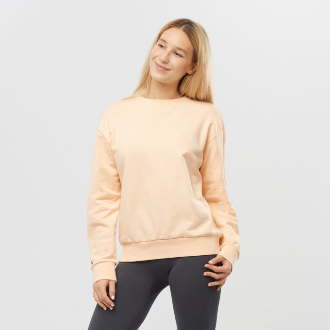 Dámské Mikiny Salomon OUTLIFE SUMMER Crewneck Béžový | CZ-91530DS